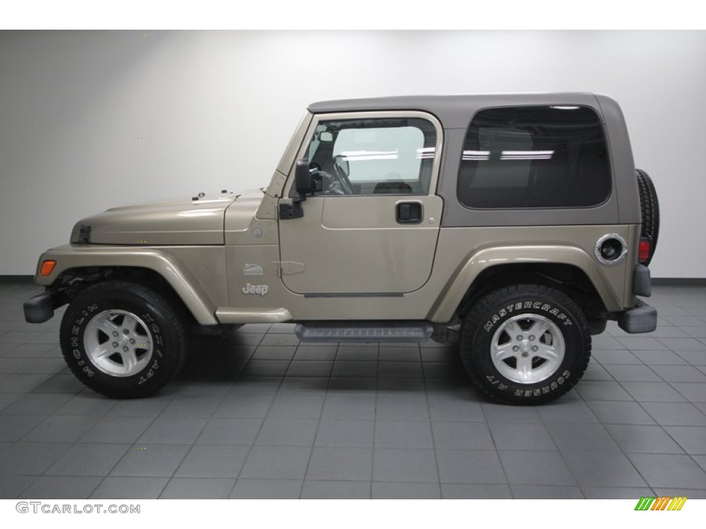 2004 Wrangler Sahara 4x4 - Light Khaki Metallic / Khaki photo #2