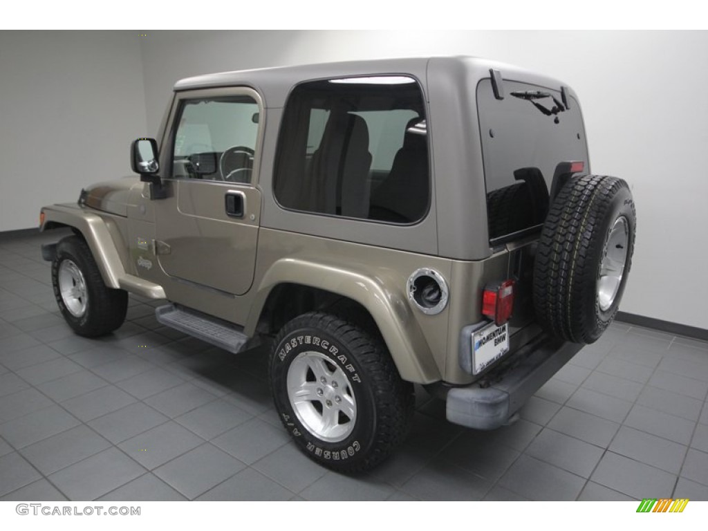 2004 Wrangler Sahara 4x4 - Light Khaki Metallic / Khaki photo #5