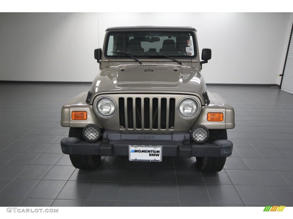 2004 Wrangler Sahara 4x4 - Light Khaki Metallic / Khaki photo #6