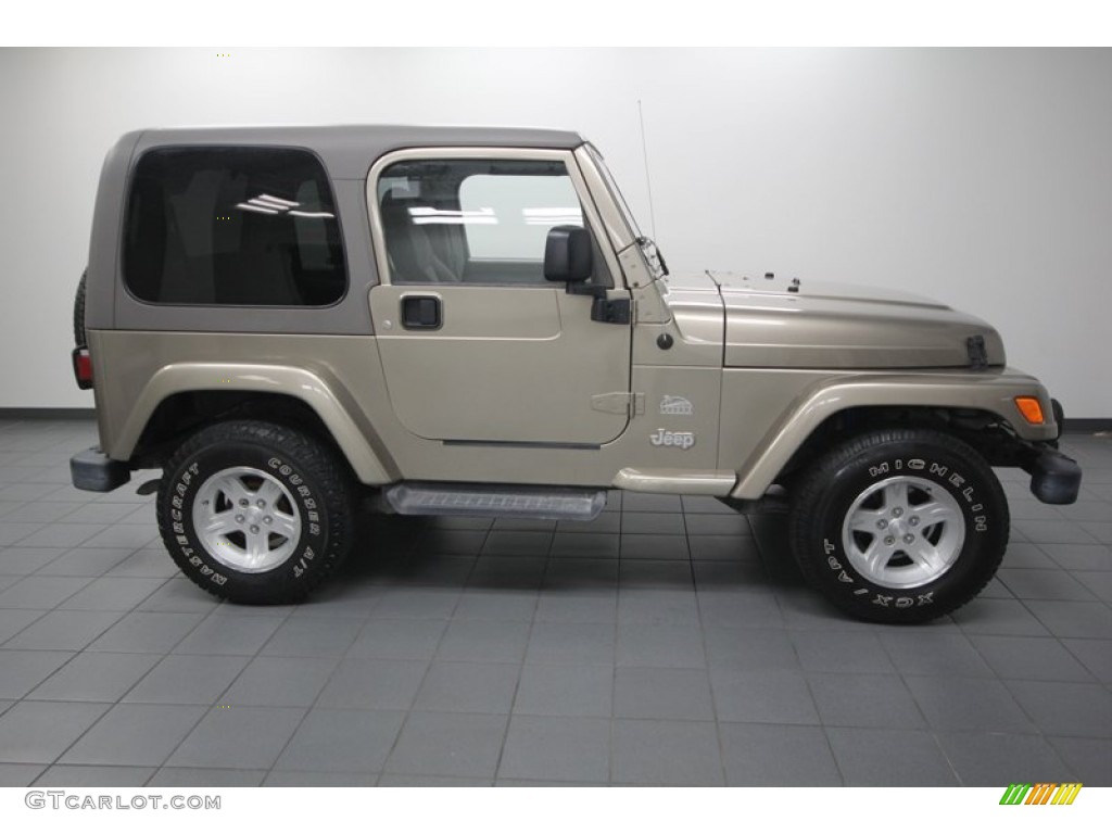 2004 Wrangler Sahara 4x4 - Light Khaki Metallic / Khaki photo #7