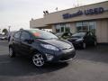 2011 Monterey Grey Metallic Ford Fiesta SES Hatchback  photo #24