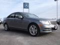 Palladium Silver Metallic - C 300 4Matic Luxury Photo No. 3