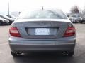 Palladium Silver Metallic - C 300 4Matic Luxury Photo No. 4