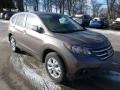 2013 Urban Titanium Metallic Honda CR-V EX AWD  photo #6