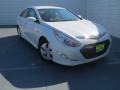 Porcelain White Pearl - Sonata Hybrid Photo No. 1