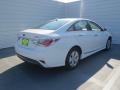 Porcelain White Pearl - Sonata Hybrid Photo No. 3
