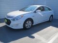 Porcelain White Pearl - Sonata Hybrid Photo No. 6