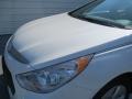 Porcelain White Pearl - Sonata Hybrid Photo No. 9