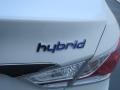 Porcelain White Pearl - Sonata Hybrid Photo No. 15