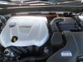 Porcelain White Pearl - Sonata Hybrid Photo No. 17