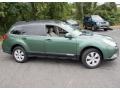 Cypress Green Pearl 2010 Subaru Outback 2.5i Premium Wagon Exterior