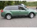Cypress Green Pearl 2010 Subaru Outback 2.5i Premium Wagon Exterior