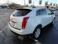 Platinum Ice Tricoat - SRX V6 Photo No. 4