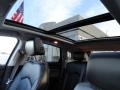 Platinum Ice Tricoat - SRX V6 Photo No. 14