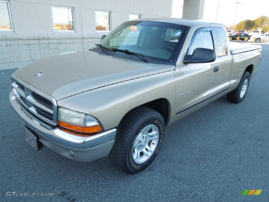 2001 Dakota SLT Club Cab - Light Almond Pearl / Taupe photo #1