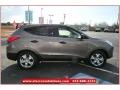 2013 Chai Bronze Hyundai Tucson GL  photo #6