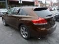 Sunset Bronze Mica - Venza LE AWD Photo No. 10