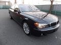 2008 Monaco Blue Metallic BMW 7 Series 750Li Sedan  photo #4