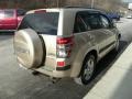  2007 Grand Vitara Luxury 4x4 Clear Beige Metallic