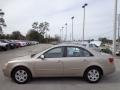 Golden Beige - Sonata GLS Photo No. 2