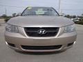 Golden Beige - Sonata GLS Photo No. 13