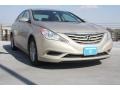 Camel Pearl - Sonata GLS Photo No. 1