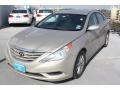 Camel Pearl - Sonata GLS Photo No. 3