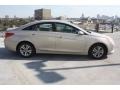 Camel Pearl - Sonata GLS Photo No. 7