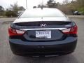 Pacific Blue Pearl - Sonata GLS Photo No. 7