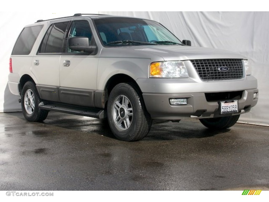 2003 Expedition XLT - Silver Birch Metallic / Flint Grey photo #1