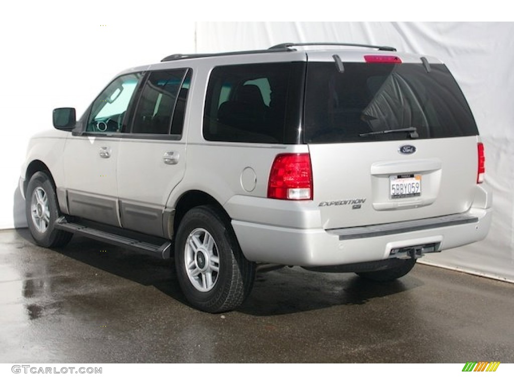 2003 Expedition XLT - Silver Birch Metallic / Flint Grey photo #2