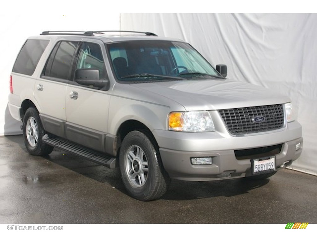 2003 Expedition XLT - Silver Birch Metallic / Flint Grey photo #6