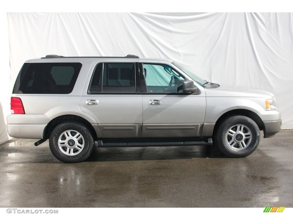 2003 Expedition XLT - Silver Birch Metallic / Flint Grey photo #10