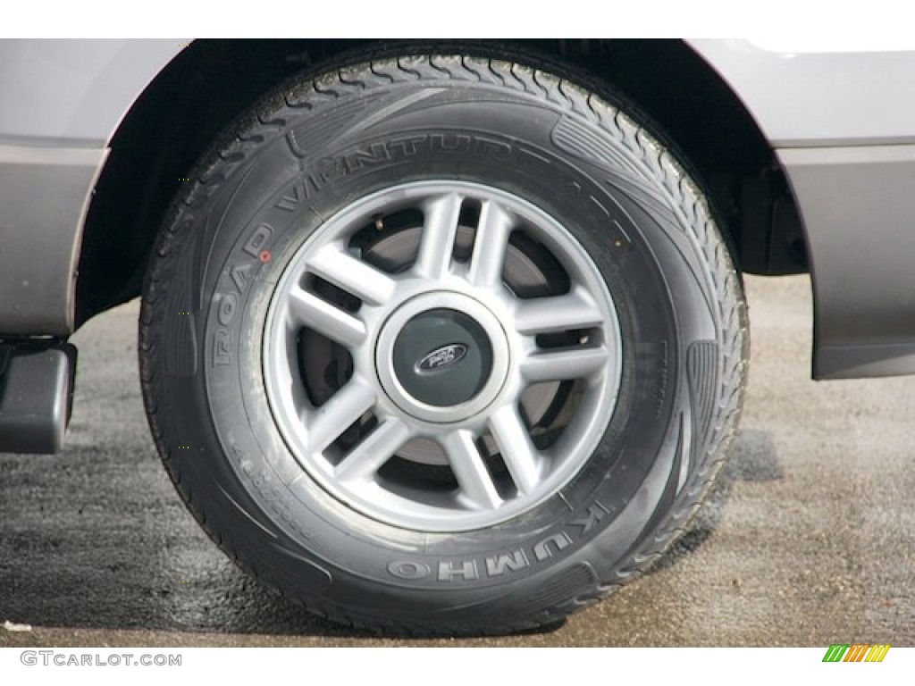 2003 Expedition XLT - Silver Birch Metallic / Flint Grey photo #34