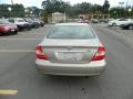 Desert Sand Mica - Camry XLE V6 Photo No. 4