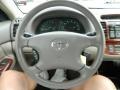 Desert Sand Mica - Camry XLE V6 Photo No. 18