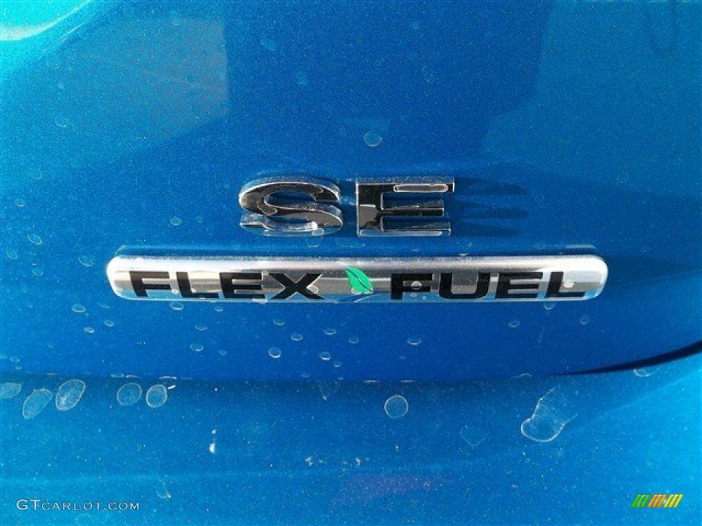 2013 Focus SE Sedan - Blue Candy / Medium Light Stone photo #7
