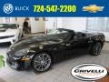 Black - Corvette 427 Convertible Collector Edition Photo No. 1