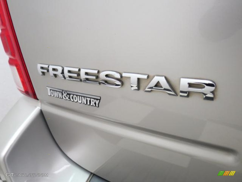 2006 Freestar SE - Silver Birch Metallic / Flint Grey photo #30