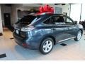 2010 Smokey Granite Mica Lexus RX 350 AWD  photo #2