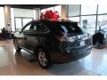 2010 Smokey Granite Mica Lexus RX 350 AWD  photo #4