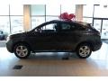 2010 Smokey Granite Mica Lexus RX 350 AWD  photo #5
