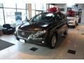 2010 Smokey Granite Mica Lexus RX 350 AWD  photo #6
