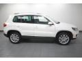 White Gold Metallic - Tiguan SE Photo No. 8
