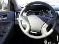 Iridescent Silver Blue Pearl - Sonata GLS Photo No. 15