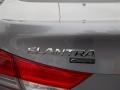 2013 Titanium Gray Metallic Hyundai Elantra Coupe GS  photo #5