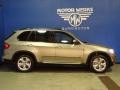 2012 Platinum Bronze Metallic BMW X5 xDrive50i  photo #11