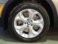 Platinum Bronze Metallic - X5 xDrive50i Photo No. 14