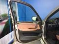 Platinum Bronze Metallic - X5 xDrive50i Photo No. 18