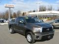 Pyrite Brown Mica 2010 Toyota Tundra Double Cab 4x4